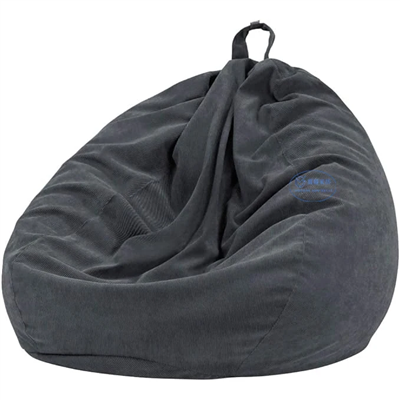 Let Us Introduce The Storage Bean Bag Cover